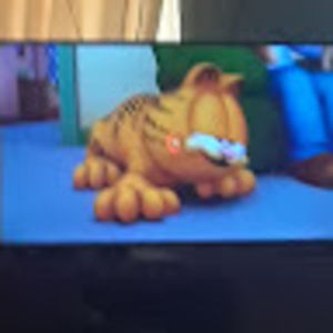 Meet your Posher, Salvador